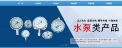 泰興市*工儀表廠有限公司藍(lán)色系網(wǎng)站建設(shè)給你設(shè)計靈感