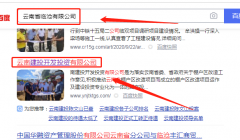 云南*投開(kāi)發(fā)投資有限公司網(wǎng)站建設(shè)創(chuàng)意網(wǎng)站效果展示