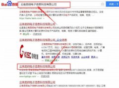 云南昆*電子信息科技有限公司網(wǎng)站建設(shè)案例欣賞