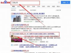 江西天*香料有限公司網(wǎng)站建設可視化建站作品欣賞