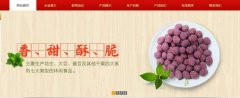 紅太*食品(榮成)有限公司制作網(wǎng)站新一代自助建站、智能建站系統(tǒng)